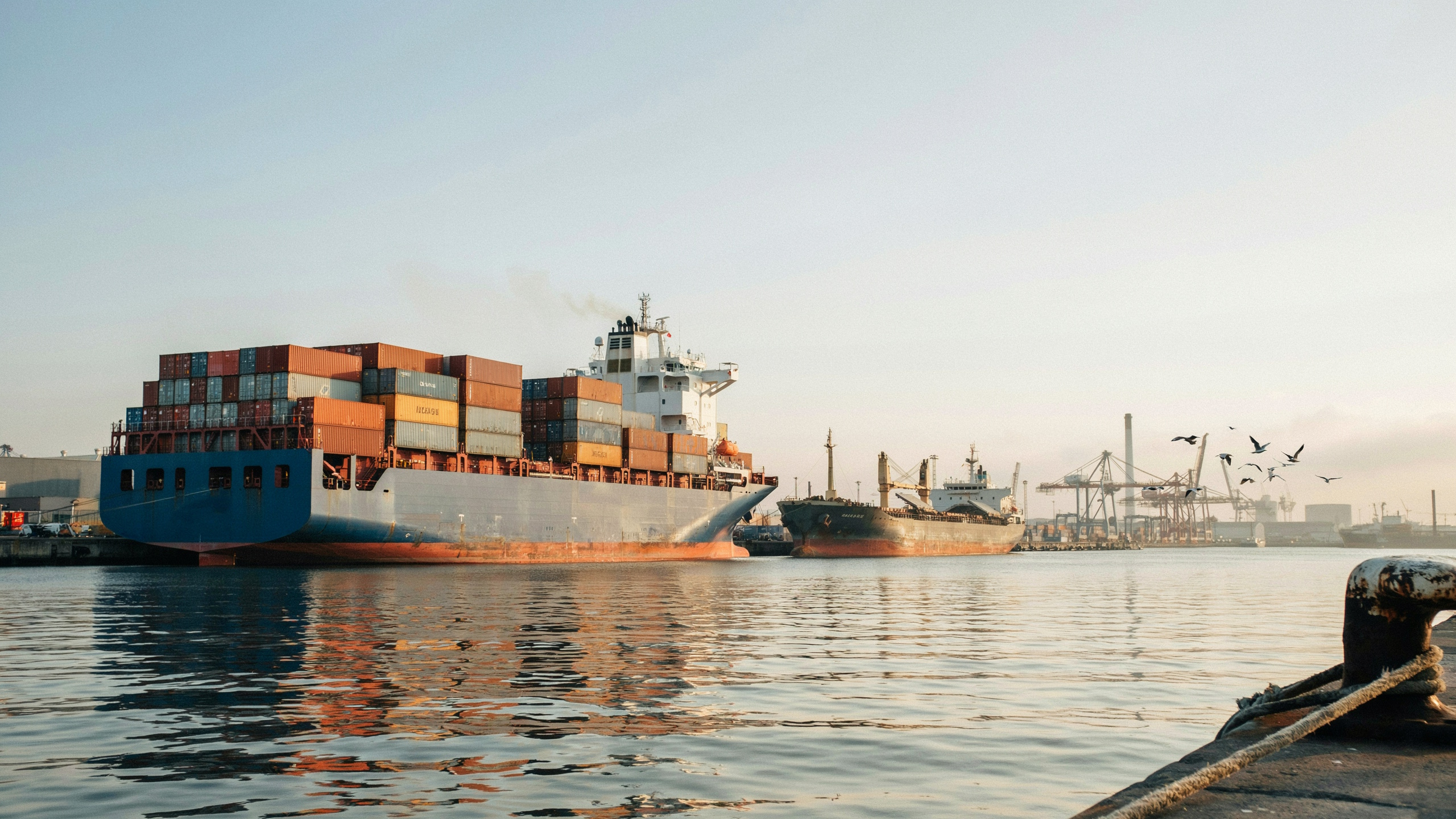 Container ship and bulk carrier in port at golden hour
